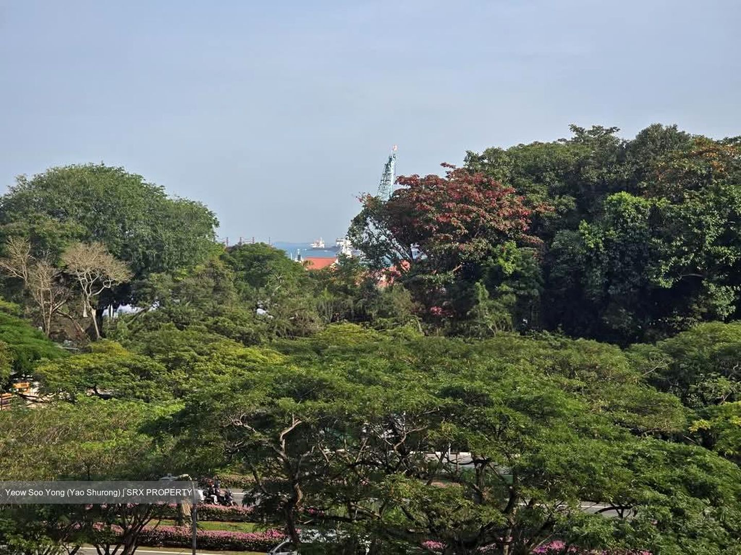 Seaside Residences (D15), Apartment #531194771